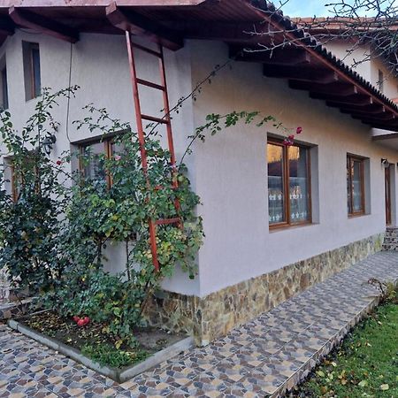 Casa Jan Bonca Panzió Lorau Kültér fotó