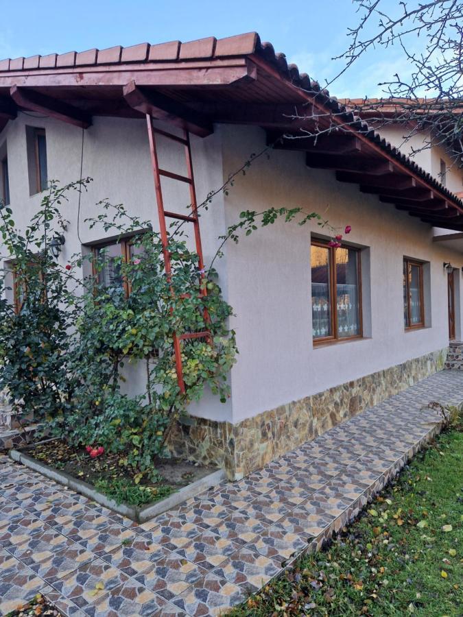 Casa Jan Bonca Panzió Lorau Kültér fotó